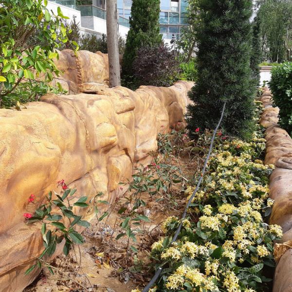 Lorem ipsum dolor sit